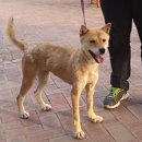 페츠비동물병원 이미지