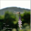 손놓고 / 김동찬 이미지