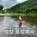 흥정리 | 강원도 평창 계곡은 흥정계곡으로 위치 여기로 가세요 화장실 아이와 놀거리