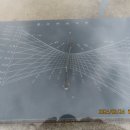 장영실과학동산 이미지