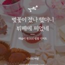 퀸즈코퍼레이션 이미지