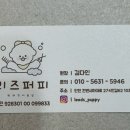 리즈애견미용 이미지