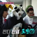 동물친구들