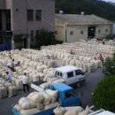 안동와룡농협 이미지