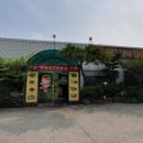 코리안손짜장 이미지