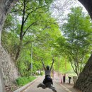 [전주 여행] 전주 한벽터널(한벽굴) 후기 🌿 스물다섯 스물하나 촬영지 가는법!