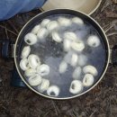 식현2리 이미지