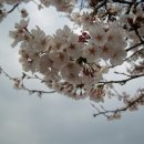 세천 체육공원 이미지