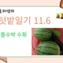 내동면시민텃밭 이미지