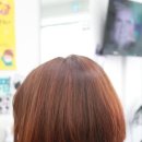 헤어닥 이미지