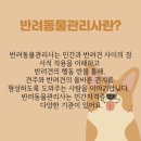 반려동물관리사 이미지