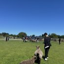 현호농장 이미지