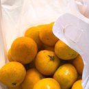 더큐브하우스리조트 이미지