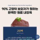 네추럴프로틴 | 고양이 습식 추천 내추럴발란스 고양이 습식 울트라 프로틴 리얼 그레이비 컵캔 후기