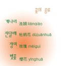 리앤Lian
