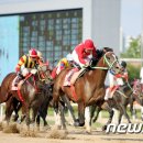 생동목장 이미지