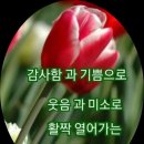 취업시. 건설협회교육이? 이미지