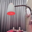 크는한의원 | 수원다이어트한의원 인계동다이어트한약 추천 내돈내산 병원 방문 후기