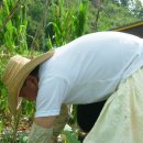 조이농장 이미지