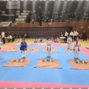 마린태권도장 이미지