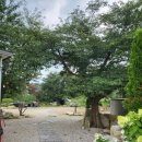 인제농협 원통지점 이미지