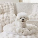 몽글몽글 이미지