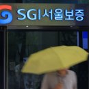 서울씨스템 이미지