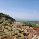 삼덕공원 이미지