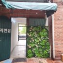마당안집 이미지