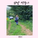 언니네야채 이미지
