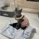 모두애동물병원 이미지