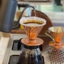 진흥더루벤스(아) 이미지