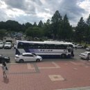 홍천군선거관리위원회 | 제 7대 지방선거 출구조사 조장 알바 후기