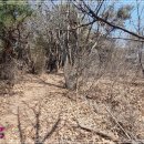 대부해솔길 1-1코스(순환코스) 이미지