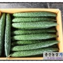 종진농장 이미지