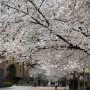 연합치과 이미지