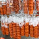 제2종합관광안내소 이미지