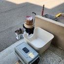 불암 카카오 펫 택시 | 카카오 펫택시 고양이 임보 이용 내돈내산 후기