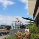 케이원렌트카 이미지