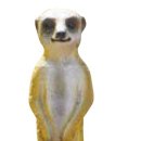 정자로 이미지