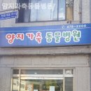 광주양지병원 이미지