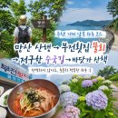 만년횟집 | 거제 하루 여행 코스｜망산 등산·부전회식당 물회·저구항 수국길까지