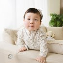 헬로우밤비