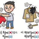 양진초등학교 이미지