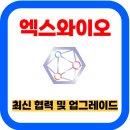 엑스와이오 코인 시세 및 2025년 레이어1 출시 호재와 전망