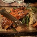 둥지애견 이미지