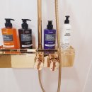 오늘도가평키즈풀빌라 이미지