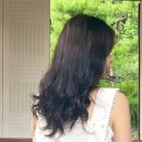 안암삼익아파트 앞 | 안암역 미용실 티엠와이커넥트 민트 염색약으로 노란기 싹 잡은 톤 맞춤 염색