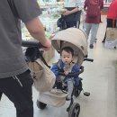유모차 거부였던 아이 타보 자전거 NUVY 미니스트라이크 후기