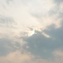 목자일터 티스토리